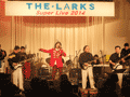 larks05