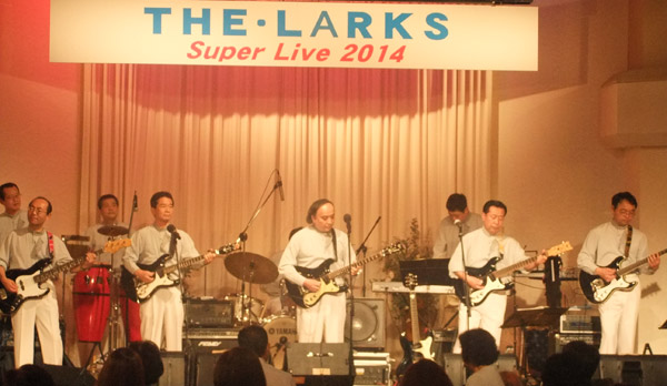 larks7_13